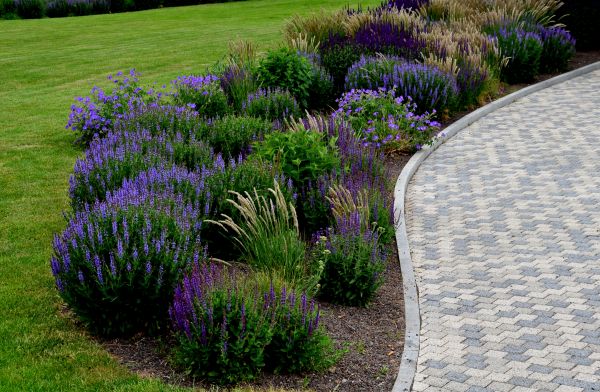 Sidewalk Curb Installation in Temecula