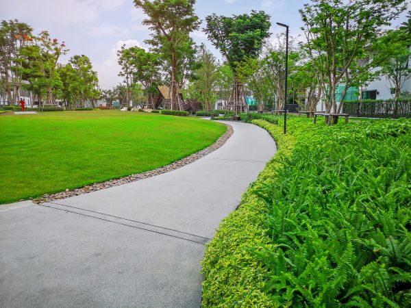 Cement Walkway Service in Temecula