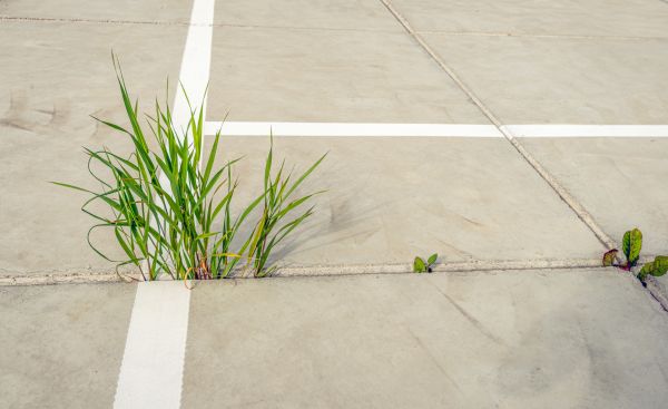 Concrete Parking Installation in Temecula