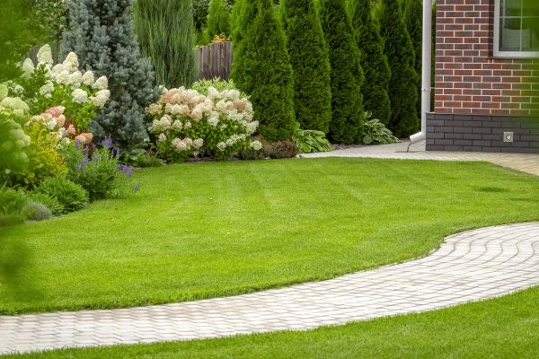Landscape Walkway Installation in Temecula